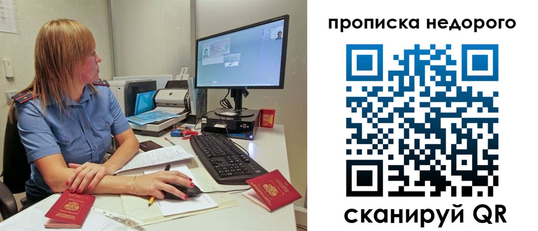 прописка для школы в Гвардейске